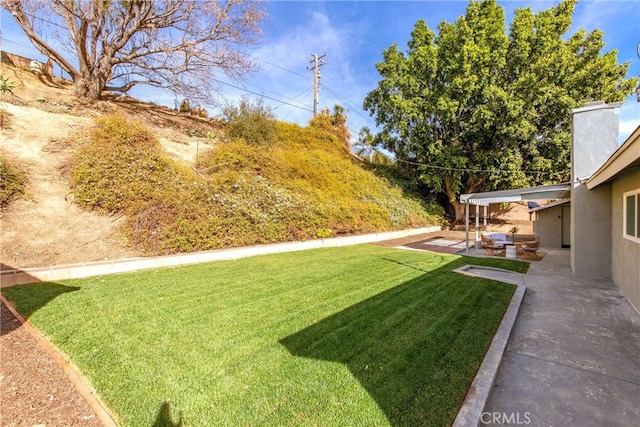 view of yard featuring a patio