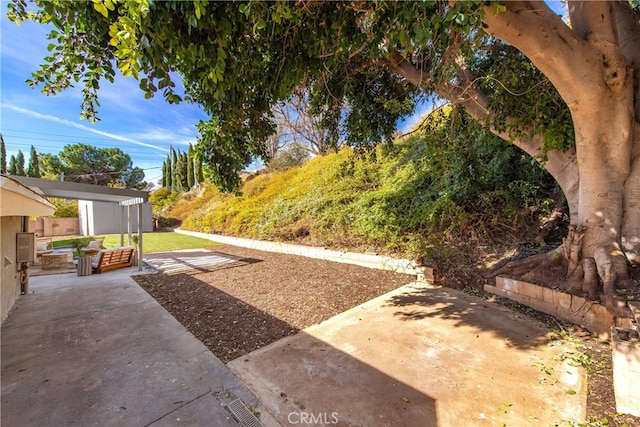 view of yard with a storage unit and a patio