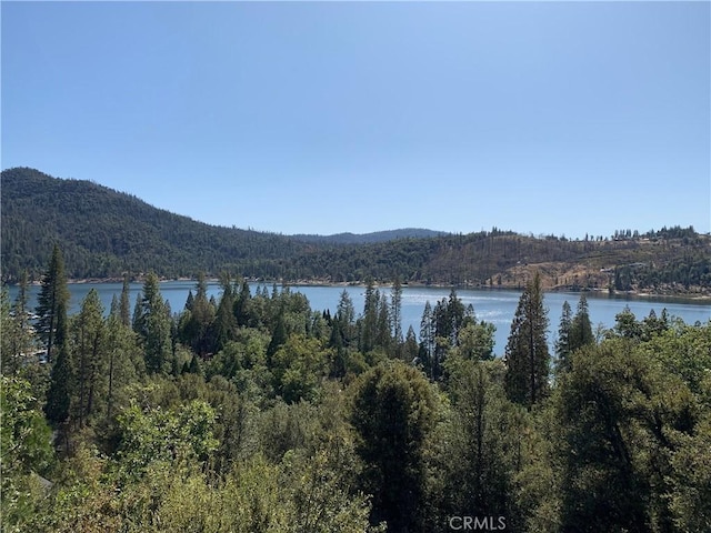 property view of water with a mountain view