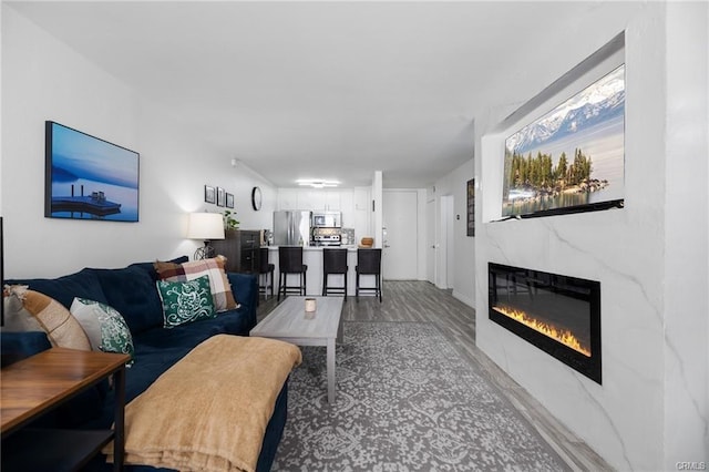 living room with a fireplace and wood-type flooring