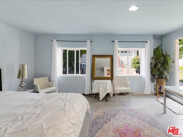 view of carpeted bedroom