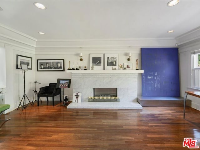 living room featuring dark hardwood / wood-style flooring and a fireplace