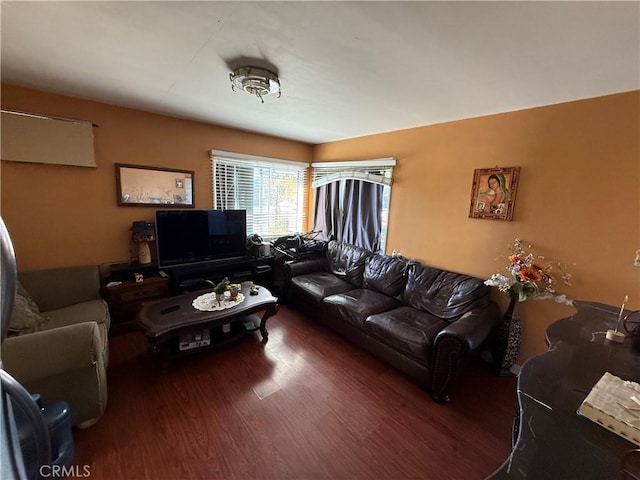 living room with dark hardwood / wood-style flooring