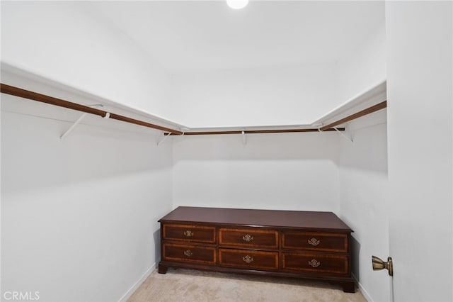 walk in closet with light colored carpet