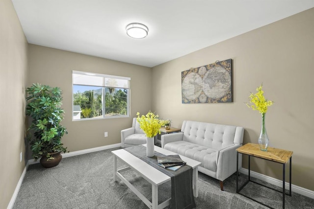 living room featuring dark colored carpet