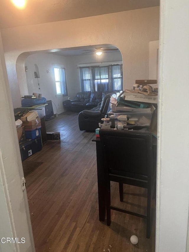 living room with dark hardwood / wood-style floors