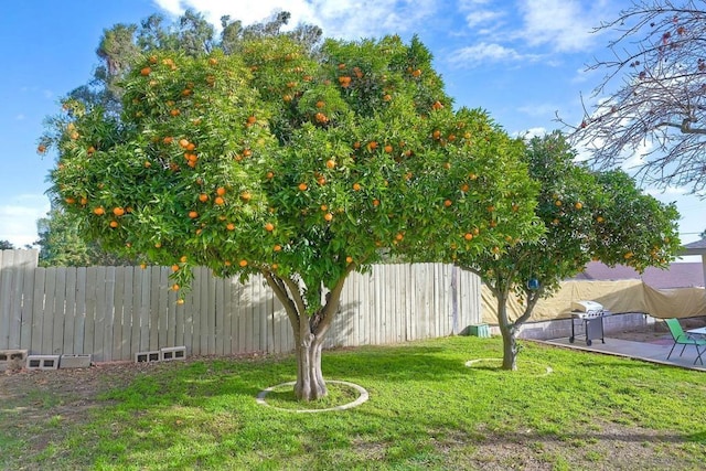 view of yard with a patio