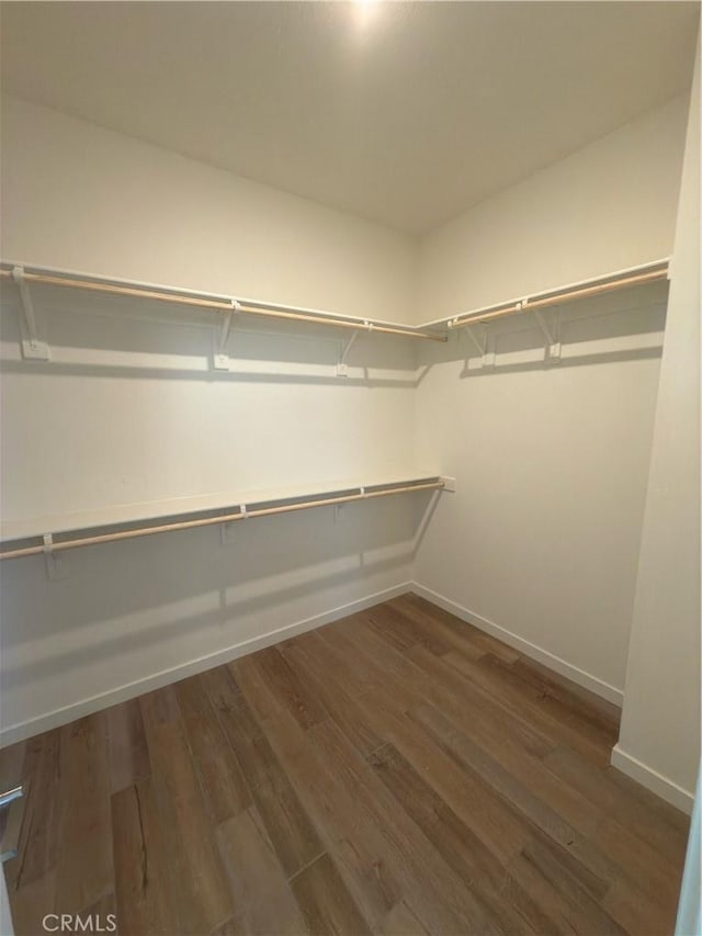 walk in closet featuring dark hardwood / wood-style flooring