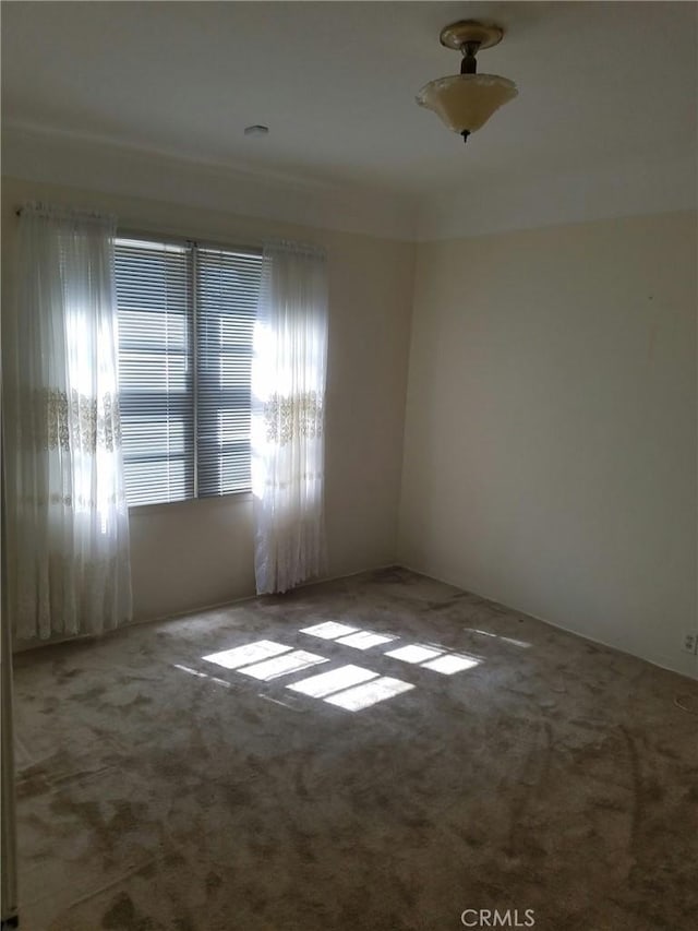 unfurnished room featuring carpet