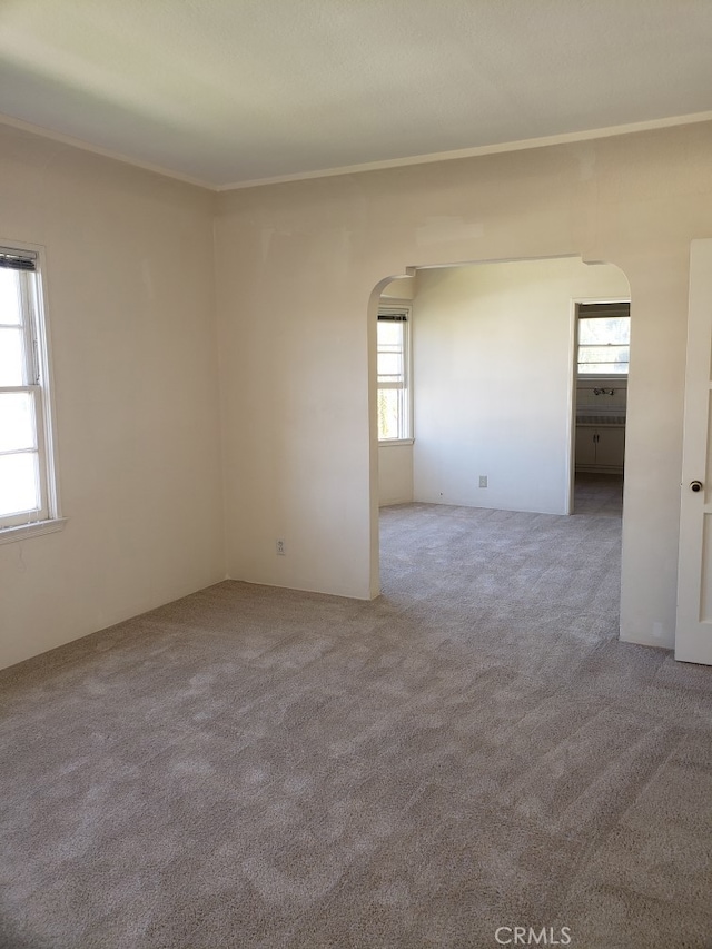 spare room with carpet flooring and plenty of natural light