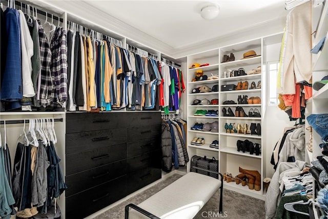 walk in closet featuring carpet floors