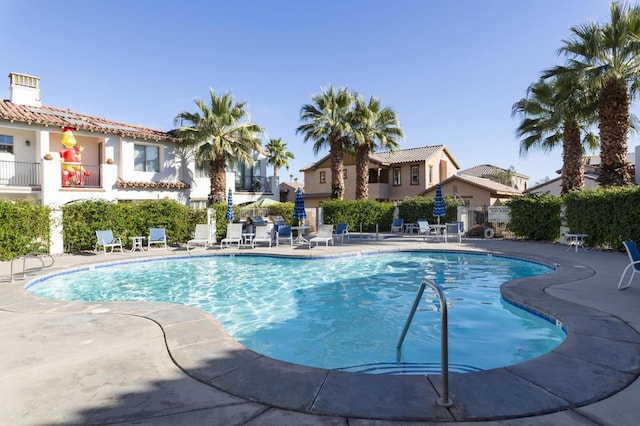 view of swimming pool with a patio