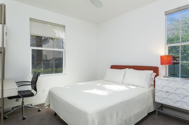 carpeted bedroom with multiple windows