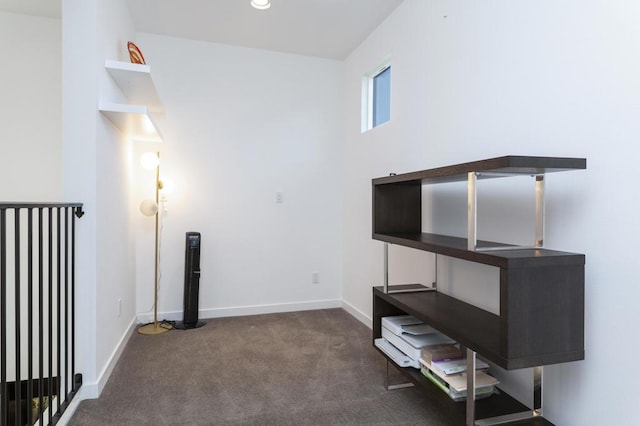 interior space with dark colored carpet