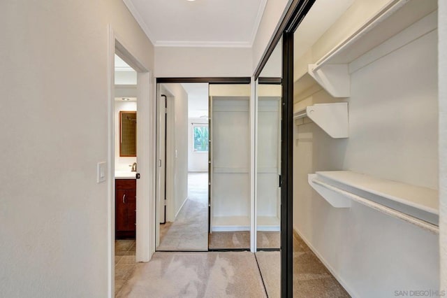 walk in closet featuring light colored carpet