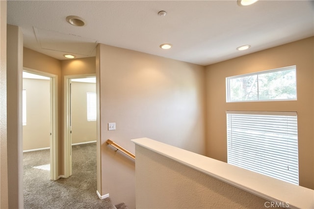 hallway with carpet