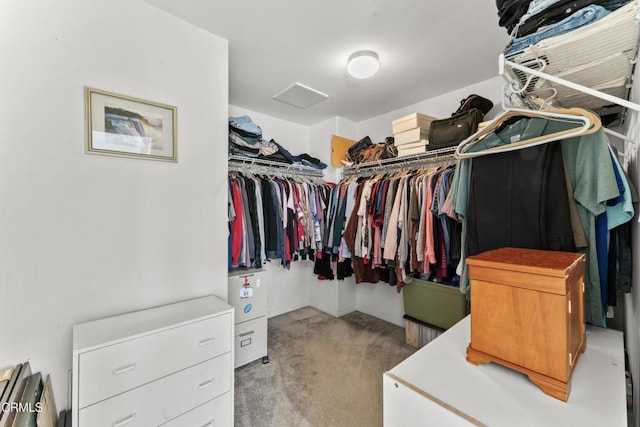 view of spacious closet