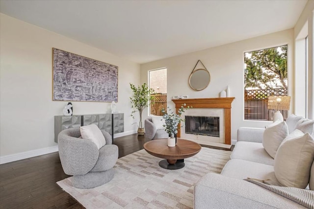 living room featuring wood-type flooring