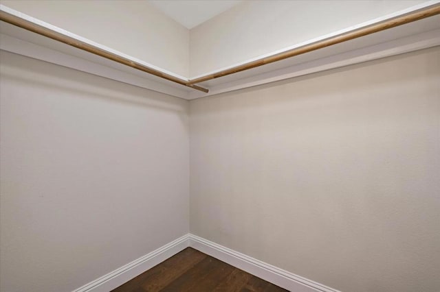 walk in closet featuring hardwood / wood-style flooring