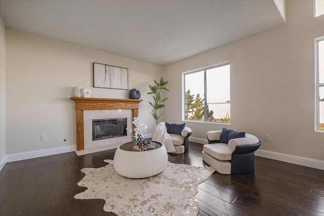 living room featuring dark wood-type flooring and a tile fireplace