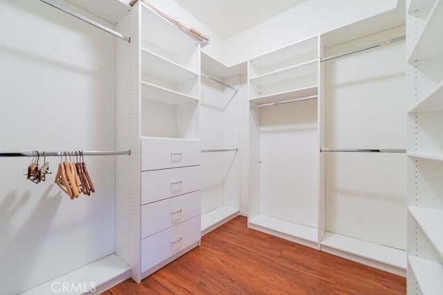 spacious closet with wood-type flooring