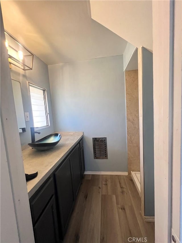 bathroom with walk in shower, vanity, and hardwood / wood-style floors