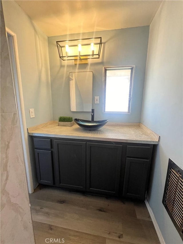 bathroom with wood-type flooring and vanity