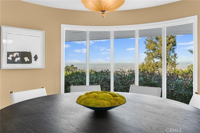 dining area with a healthy amount of sunlight