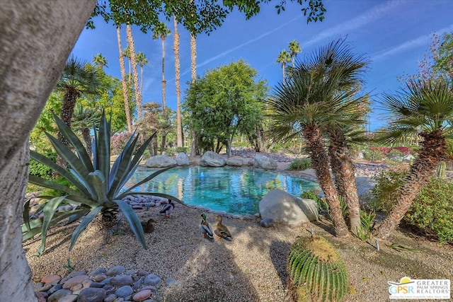 view of swimming pool