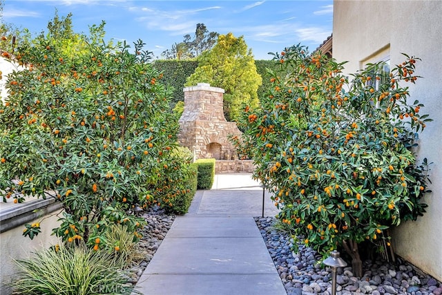 view of yard featuring an outdoor stone fireplace