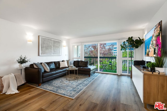 living room with hardwood / wood-style flooring