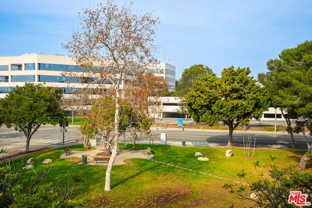 view of community featuring a lawn