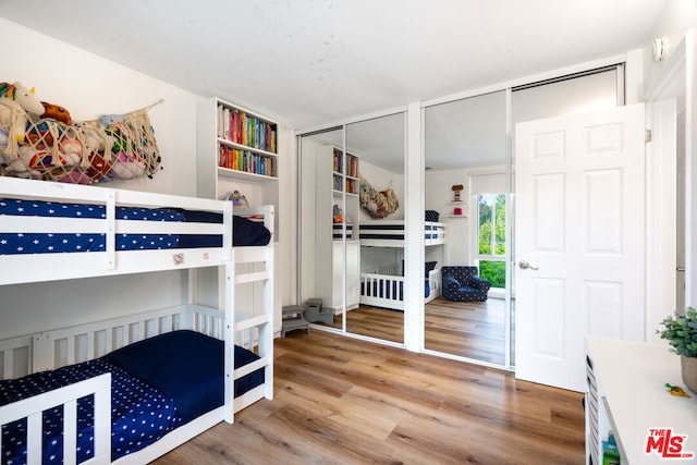 bedroom with two closets and wood-type flooring