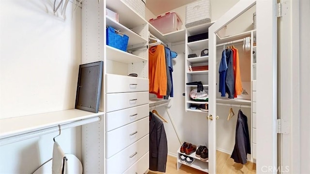 spacious closet with light wood finished floors