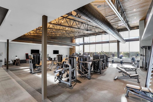 gym featuring a high ceiling