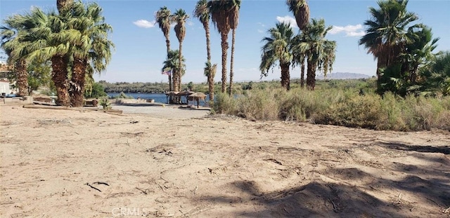 7845 Rio Vista Dr, Big River CA, 92242 land for sale