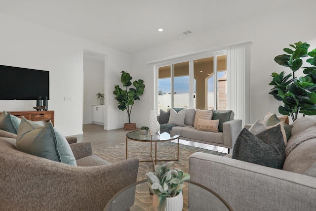 living room with wood-type flooring