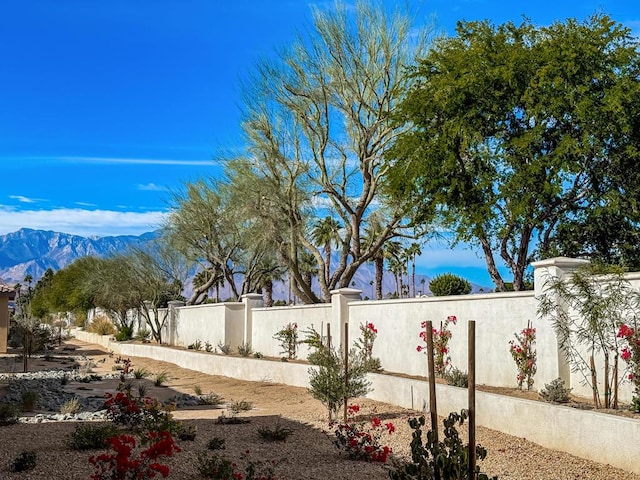 view of yard featuring a mountain view