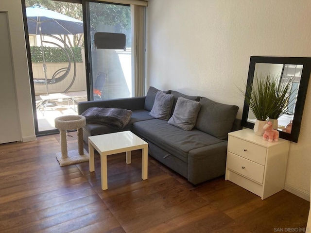 living room with dark hardwood / wood-style floors