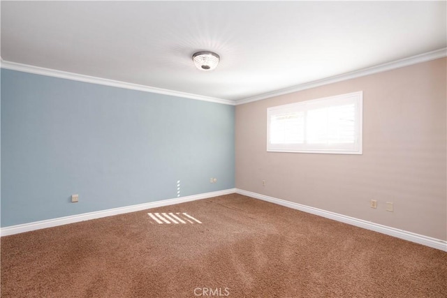 spare room featuring ornamental molding and carpet flooring