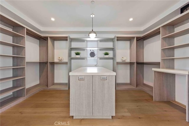 spacious closet with light wood-type flooring