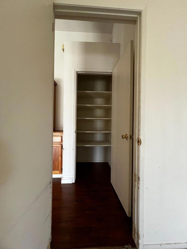 hallway featuring dark hardwood / wood-style flooring