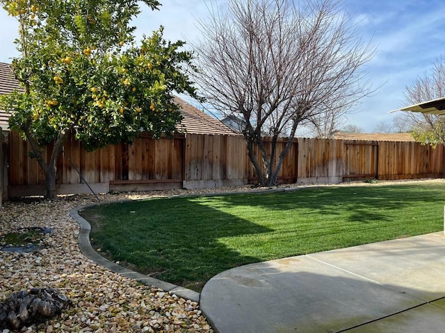 view of yard featuring a patio