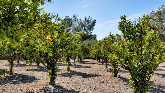 2 Thomas Rd, Ladera Ranch, CA 92694 - view of local wilderness with farmland and rural landscape