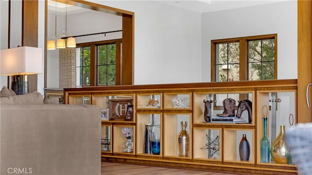 interior space with a healthy amount of sunlight and hardwood / wood-style floors