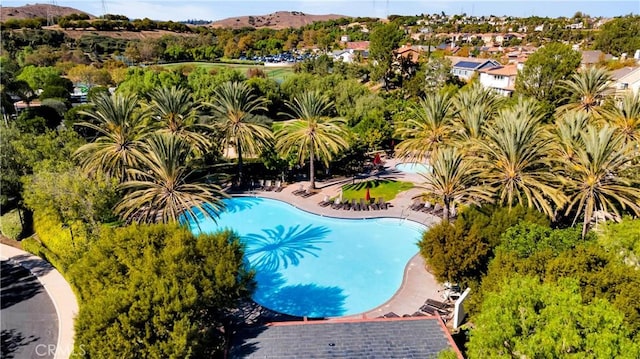 view of community pool