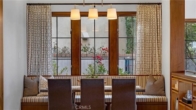 view of dining space