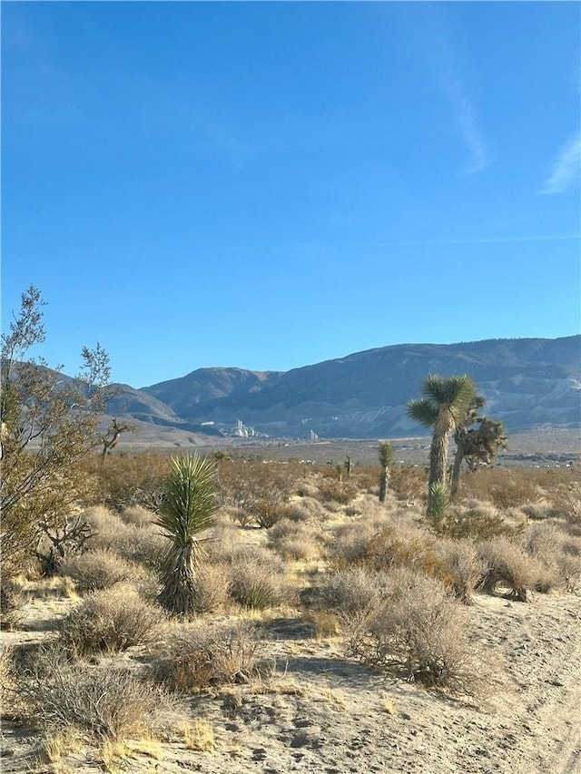 Listing photo 2 for 0 Visalia Ave, Lucerne Valley CA 92356