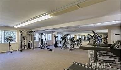 gym featuring a wealth of natural light