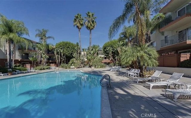 view of pool featuring a patio area